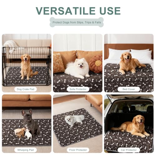 Image of Eterish Washable Pee Pads for Dogs Large /Extra Large 31'' x 36'' 2 Pack | Reusable Absorbent Pet Puppy Dog Training Pads Non-Slip, Waterproof Whelping Potty Pads for Dogs Leak-Proof