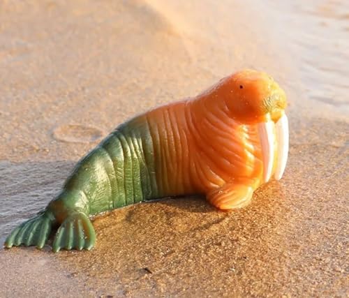 Image of Amitasha Aquatic Animal Toy for Kids Realistic Walrus Fish Squishy Figurines Rubber Sea Animal Soft Squeeze Toy for Boys Girls Lookalike Ocean Creatures Educational Gift