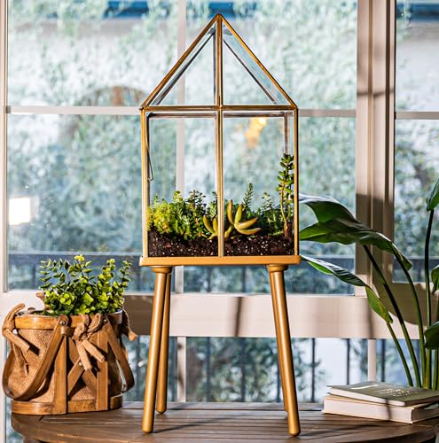 Z Geometric Terrarium (Brass) – Urban Born