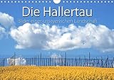  Hallertau (Wandkalender 2020 DIN A4 quer): Stille, reizvolle Landschaft im Herzen Bayerns. (Monatskalender, 14 Seiten ) (CALVENDO Natur)