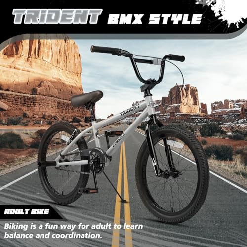 cubsala 20 Inch BMX Trident