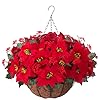 Artificial Fake Christmas Hanging Flowers Plants Basket for Outdoor New Year Decoration Faux Silk Red Poinsettia UV Weather Resistant Realistic for Xmas Outside Porch Home Patio Decor