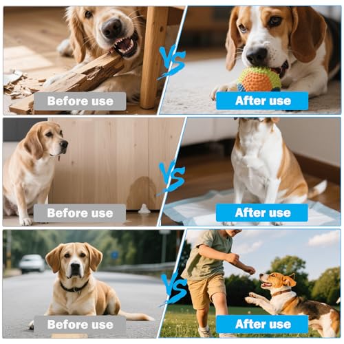 4 Packungen Klicker Hund,Clicker Hund,Clicker Katze Training,Klicker Katze Mit GroßEm Knopf,Clicker Mit Handschlaufe FüR Hundetraining,Geeignet FüR Hundetraining,Auch FüR Katzen Und Pferde Geeignet