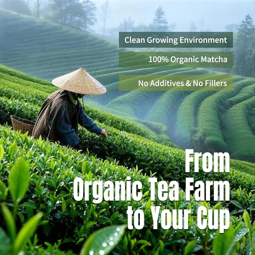 Té Matcha Ceremonial Orgánico en polvo miniatura 3