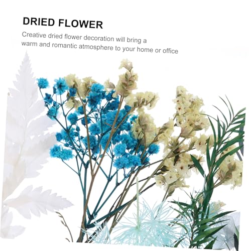 Kit de flores secas naturales para manualidades DIY miniatura 3