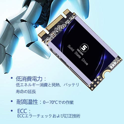 Amazon.co.jp: Shark SSD 内蔵 Solid State Drive M.2 2242 60GB Ngff