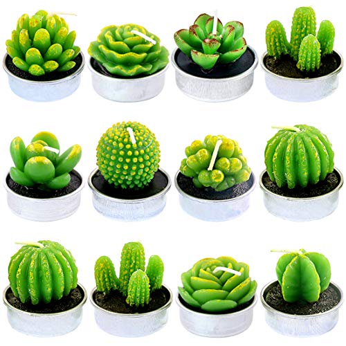 Bougies de plantes artificielles de décoration : kit de succulentes pour table et fête