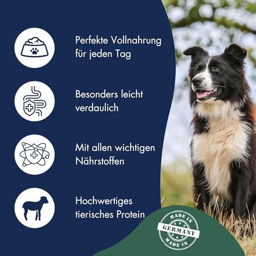 DR.CLAUDER’S - High Premium Lamm & Reis | Leicht bekömmliches Trockenfutter für empfindliche, ausgewachsene Hunde. Weizenfreies Alleinfutter im Beutel ohne Konservierungsmittel | 15kg