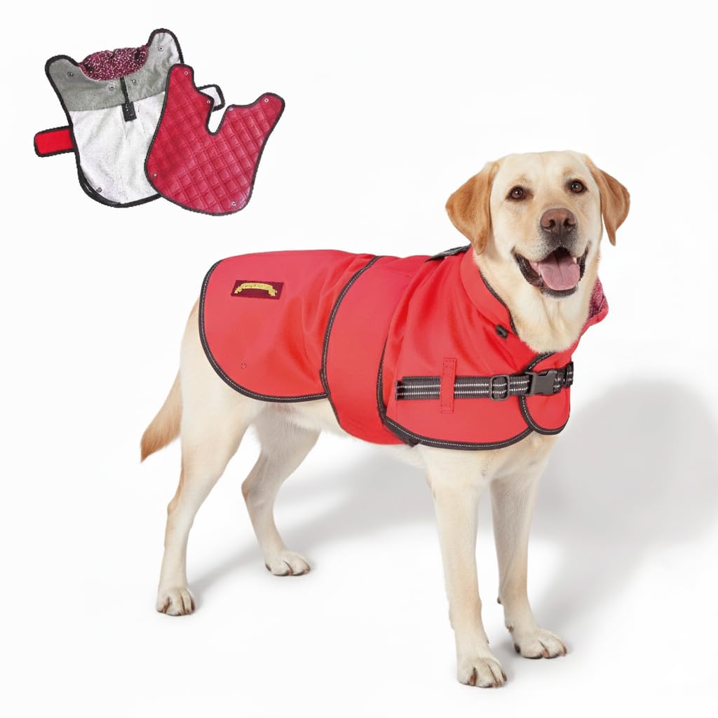 Cappotto impermeabile per cani di qualità per tutte le stagioni con foro per imbracatura. Fodera trapuntata staccabile, regolabile, riflettente per cani, giacca per cani 2 in 1. Cappotti