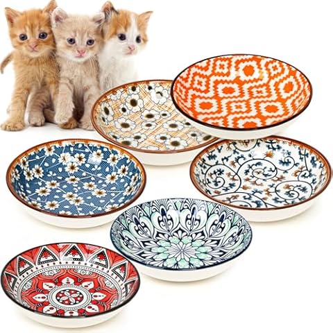 5.5in Ceramic Cat Food Bowl Set - Wide Shallow Cat Bowl for Relief Whisker Fatigue,6 Colorful Kitten Bowls Cute Cat Feeding Bowls for Food and Water- Microwave Dishwasher Safe Cover