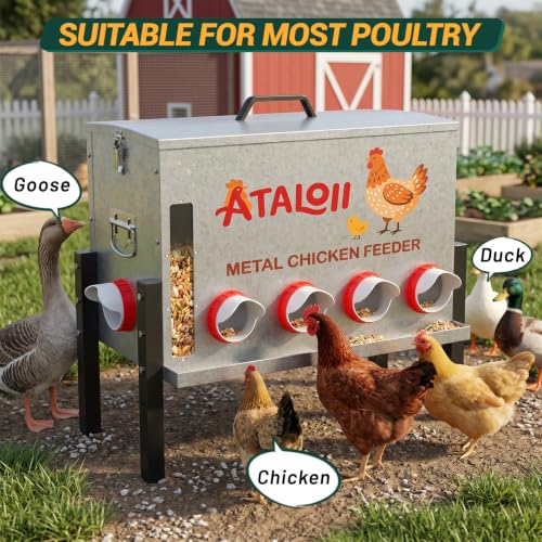 16Gal 82LB Automatic Chicken Feeder with Window & Spill-Catch Trays, 10Port by ATALOII - Used condition - Image 8
