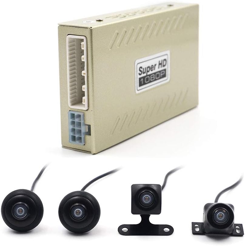 Telecamera per uccelli