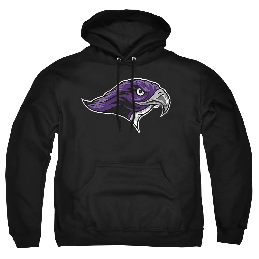 LOGOVISION Official Collegiate Distressed Primary Logo Adult Pullover Hoodie Collection — view 272