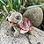 Turtle Outdoor Garden Decor – Outside Garden Statues for Home, Yard, Patio, Backyard, Balcony for Mother’s Day, Birthday for Women, Mom Gifts