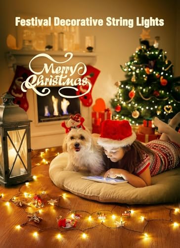 Image of Brightown 8ft 20LED Battery Operated Christmas String Lights with Timer | Warm White Mini Christmas Tree Lights for Indoor Outdoor Bedroom Wedding Party Holiday Xmas Decoration