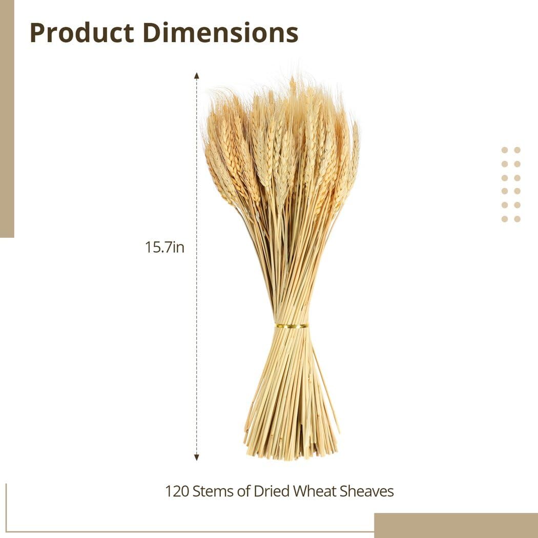 Homaisson 120 Stems Dried Wheat Sheaves, Dried Wheat Stalks, Natural Wheat Bouquet Bundle for DIY Craft, Artificial Flowers Arrangement, Dining Table Decorations, Wedding Shooting Props