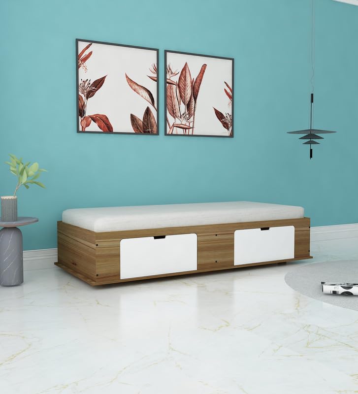 TRISULM Gusto Multipurpose Diwan Single Bed with Storage Engineered Wood Single Box Bed Lyon Teak White Finish Knock Down