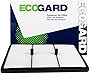 ECOGARD XA10667 Premium Engine Air Filter Fits Kia Niro 1.6L 2017-2019, Niro 1.6L HYBRID 2020 | Hyundai Ioniq 1.6L HYBRID 2017-2020