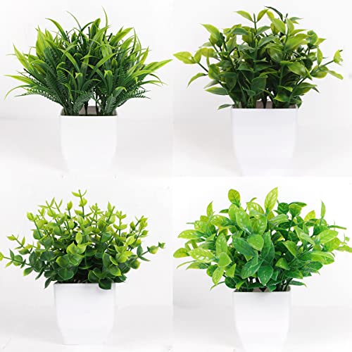 Macetas, Home Imagen adicional