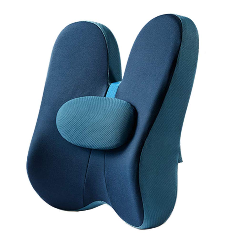 Butterfly Lumbar Support Back Cushion Pillow - Memory Foam Mesh Breathable Ergonomic Pain Relief Orthopedic Backrest for Computer/Office Chair, Car Seat Etc