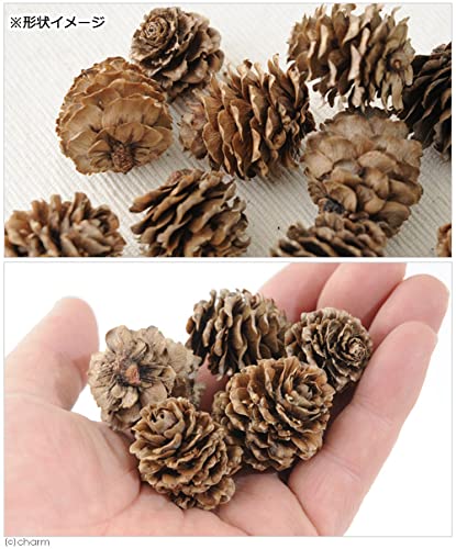 Amazon | 国産 ちいさな松ぼっくり 15g 小動物のおもちゃ パイン