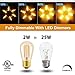 Hizashi S14 Replacement Light Bulbs, 2W=25 Watt Outdoor Edison Bulbs Dimmable E26 Base, Amber 2200K S14 LED Bulbs, Outdoor String Lights Bulbs Replacement, Shatterproof Waterproof, UL Listed, 6 Pack