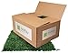 Ranka Lasting Greenery Artificial Boxwood Hedge Panels 40x40 with Zip Ties