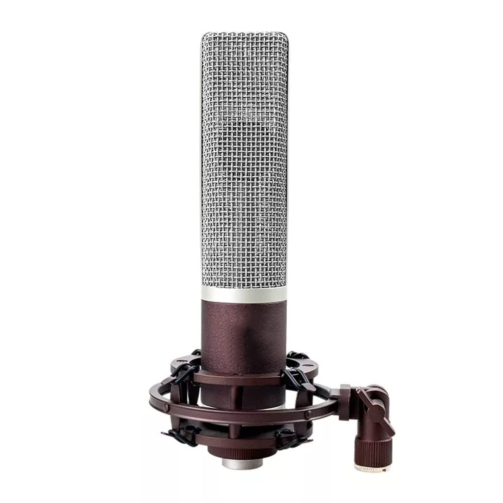 Microphone anti-bruits de fond 42x210mm pour éliminer les bourdonnements en basse fréquence