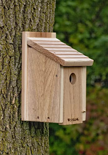 Woodlink Coppertop Bluebird House At