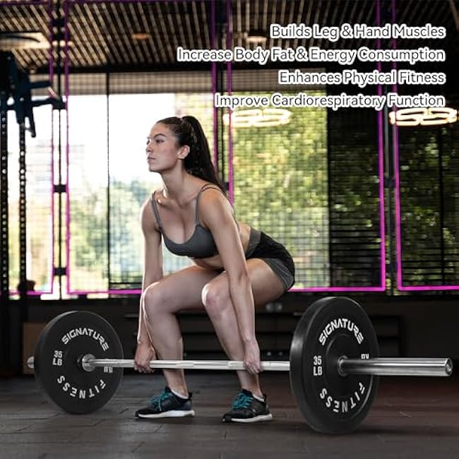 2 Olympic Bumper Plate Weight Plates with Steel Hub, Pair, Updated