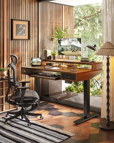 Image of TIQLAB Standing Desk with Two Drawers, Stand Up Standing Desk Adjustable Height, Electric Sit Stand Table with Storage Shelf and Splice Board, with LED Light, 55 * 28 inch, Black Walnut