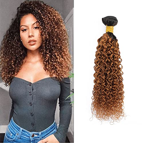 Ombre Human Hair Bundle Kinky Curly Human Hair T1B/30 Two-tone Brown 8A Grade Soft Brazilian 100% Human Hair Extensions 18 Inch