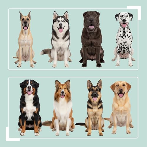 Relaxdays Futterstation Hund, 2 Hundenäpfe, Stauraum, HxBxT: 42 x 60 x 30 cm, erhöhte Hundebar, MDF, Hundeschrank, weiß