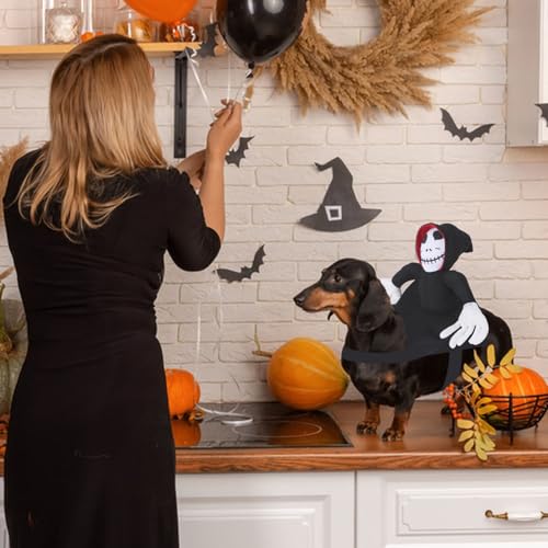 VEQENIFY Hundekostüm Halloween Kostüm Hund,Halloween HundeKostüm für Haustier Hunde Kleine bis Große Hunde