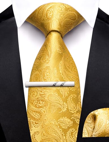 Image of Barry.Wang Boys Ties School Pre-Tied Kids Necktie Handkerchief Clip Set Uniforms Child Ties for 8-14 Years Wedding Party