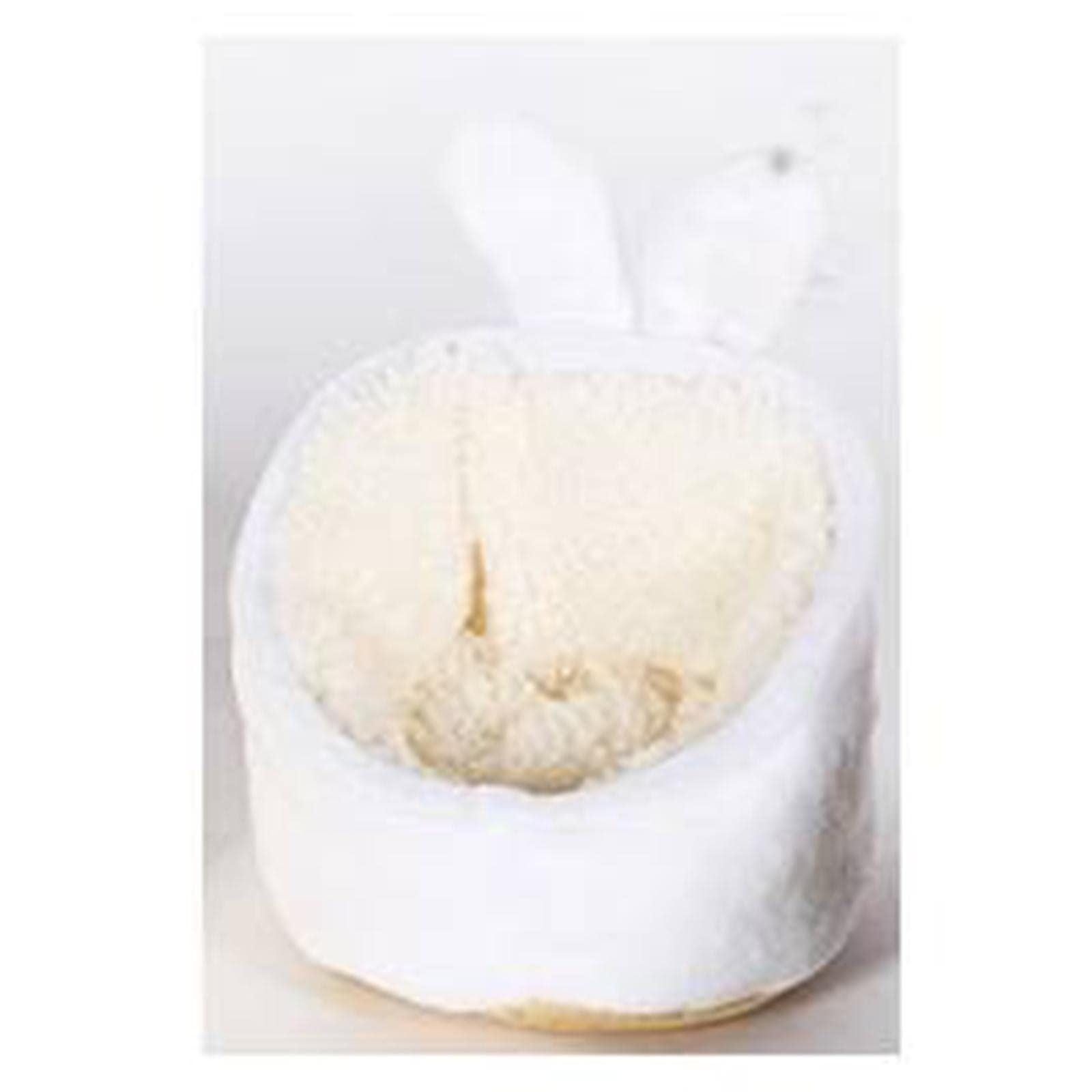 CALANDIS Pet Guinea Pig Nest Hamster House Accessories for Hedgehog White (B0BHWDB3PC) Amazon Price History, Amazon Price Tracker