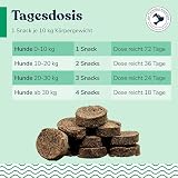 Hundesnacks mit Grünlippmuschel & Lachsöl – getreidefreie Kauartikel für Welpen, ausgewachsene Hunde und Senioren – sorgfältig hergestellte Leckerlis für aktive Vierbeiner, ca. 70 Stück