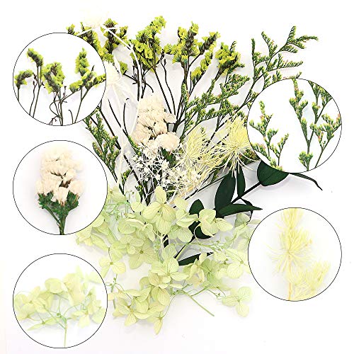Shiwaki Kunstbloemen Simulatie Bloemen Doos Bewaarde Gedroogde Bloem Plant DIY Kaars Hars Sieraden Maken Craft Decor… - Afbeelding 3