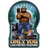 Die Cut Sticker Georgia, Smokey Bear, Only You Can Prevent Wildfires Vinyl Sticker, (Waterproof Decal for Cars, Water Bottles, Laptops, Coolers), Large