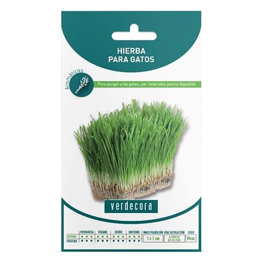 Verdecora | Semillas hierba para gatos - Hierba Gatera - Hierba para Gatos - Sobre con Semillas Hierbas Aromáticas - Semillas aromáticas