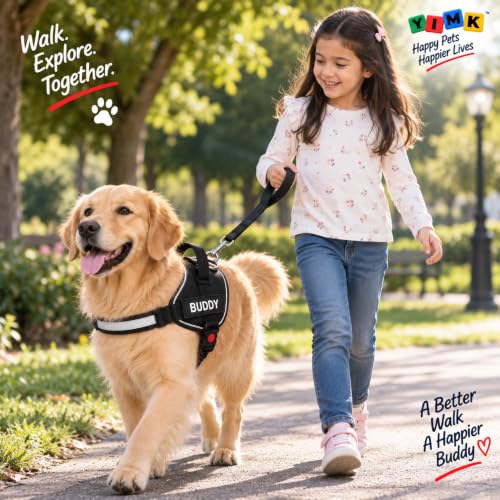 Image of Black Dog Vest Harness with Leash - No Pull, Reflective & Adjustable