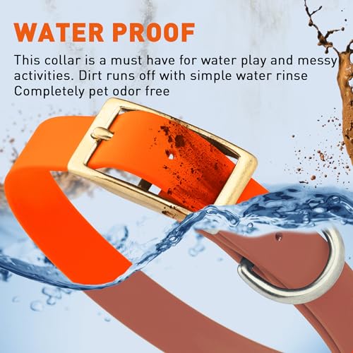 Image of Viper Biothane Heavy Duty Waterproof Dog Collar Strong Coated Nylon Webbing w /Solid Brass Hardware Odor-Proof Easy to Clean High Performance Fits Small Medium or Large Dogs, Hunter Orange