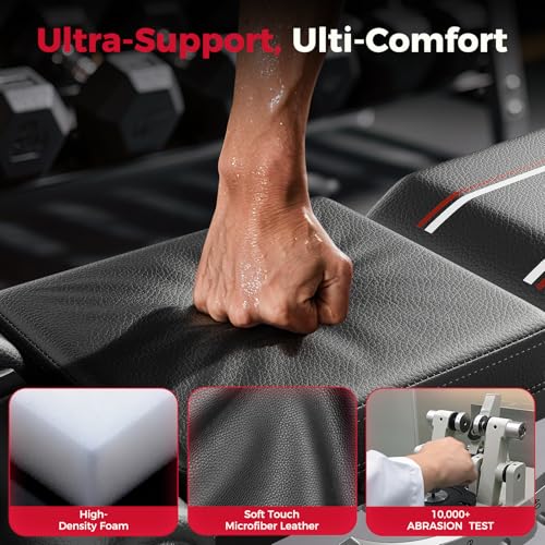 Image of FLYBIRD Adjustable Weight Bench, Full Body Workout Bench for Home Garage Gym Strength Training, Incline Flat Decline for Sit Up Bench Press