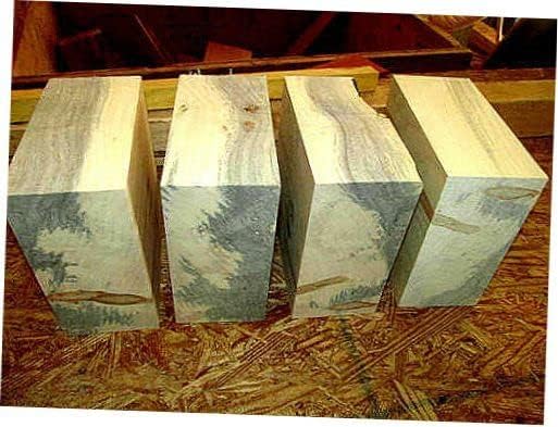 Four Boxelder Bowl Blanks Lathe Turning Blocks Wood Lumber Carve 6" X 6" X 3" Suitable Wood Pieces for Wood Crafts and Projects