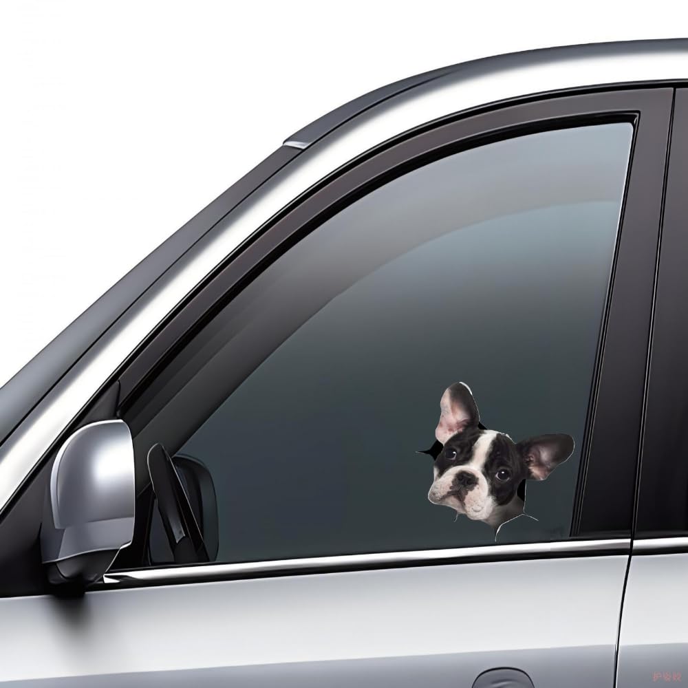 Decalcomanie per auto con bulldog francese divertente, in vinile 3D, impermeabile, per parete, laptop, auto, finestrino, camion, paraurti, frigorifero, 30 x 30 cm