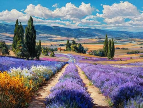 DIY  Lbg l q SҌ G iϔ_ ANG̋Zbgt 40x50cm hG XgX  v[g Mtg - |pIȑ̌ŊyށAiȃLoXƑN₩ȐFʁAW̓AbvAbNXʁACe