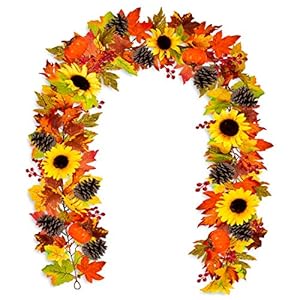 Whaline Herbst-Girlande mit Ahornblättern 18 m