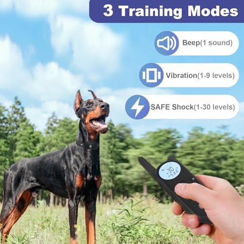 MIMOFPET Wireless Dog Fence - Collar and Remote