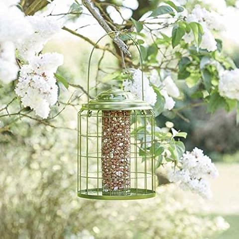 Robert Dyas Chapelwood Premier Squirrel Proof Peanut Feeder Cover