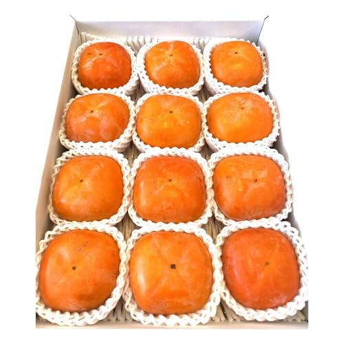 [2026年先行予約]たねなし柿4kg2L〜4L厳選館[2026年10月上旬-11月中旬頃出荷]